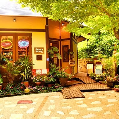 ケニーズハウス伊豆高の『虚と罠』白いカレー×2パック