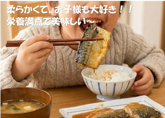 さばのみそ煮(2パックセット)