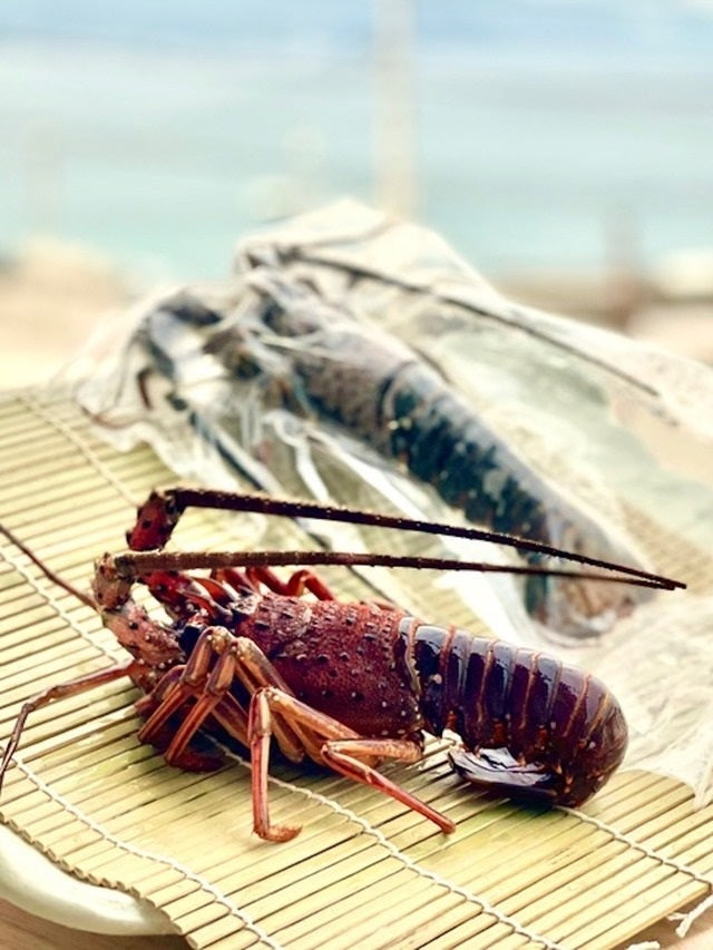 伊勢エビのパエリアミールキット