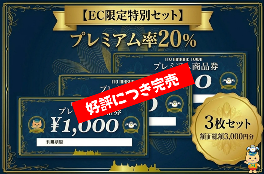プレミアム商品券 3,000円分