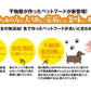 【ペットの贅沢おやつ】 金目鯛のやわらか骨
