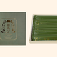 静岡御茶パイ｜静岡県産一番茶抹茶のお菓子・お土産｜伊東マリンタウン