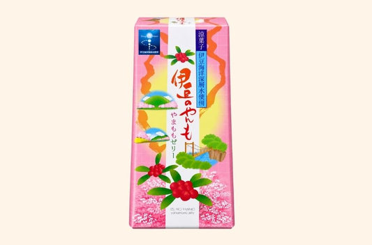 伊豆のやんも やまももゼリー 12個入り｜伊豆 The Ichi