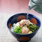 塩鰹茶漬けの素 箱入り（80g)