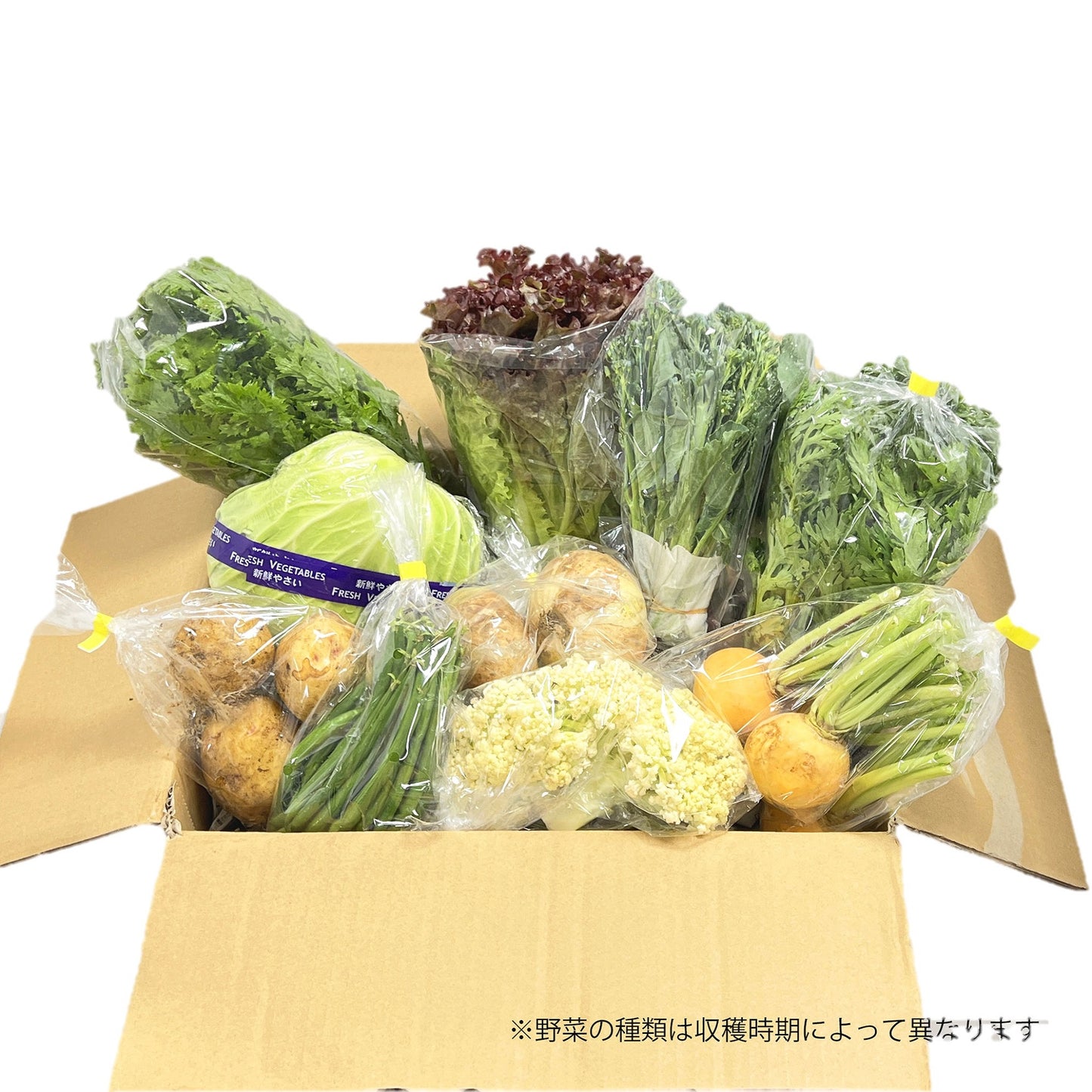 【伊豆の健康野菜】「和食」向き野菜セット《9～10品》お得セット