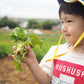 【伊豆の健康野菜】「和食」向き野菜セット《9～10品》お得セット
