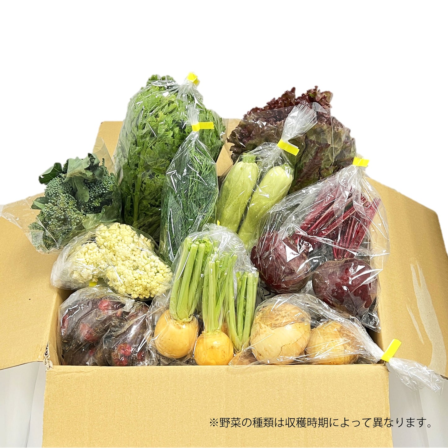 【伊豆の健康野菜】「洋食」向き野菜セット《9～10品》お得セット